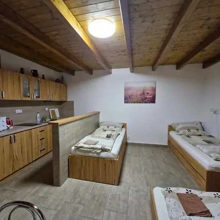 Pod Pergolou Appartement Bořetice