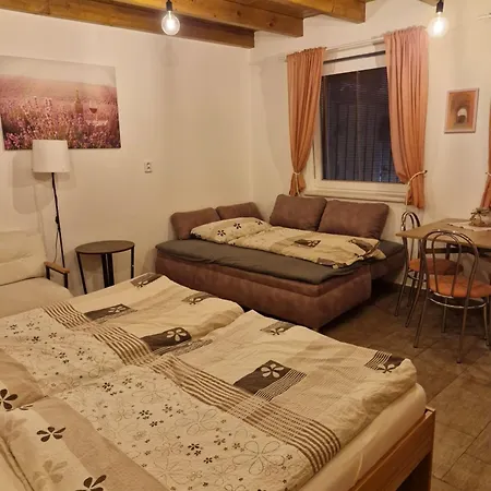Pod Pergolou Apartment